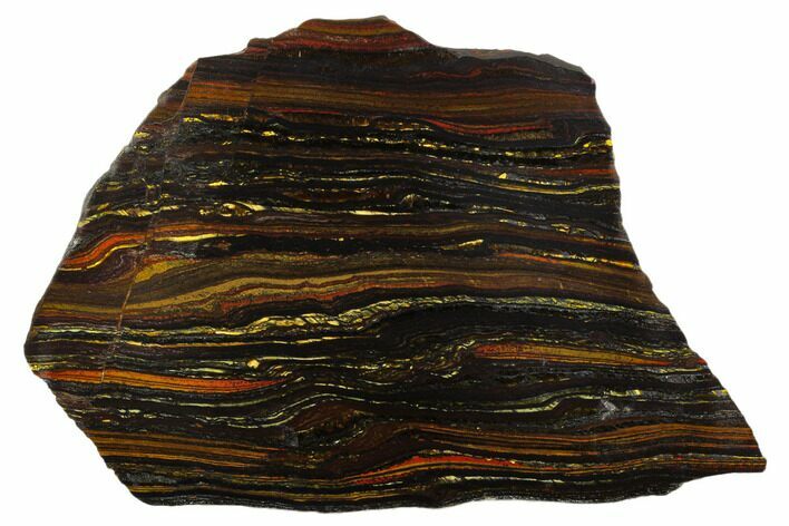 Polished Tiger Iron Stromatolite - Billion Years #129219